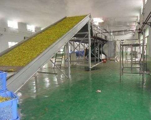 重慶蘑菇视频免费版在线观看版下载